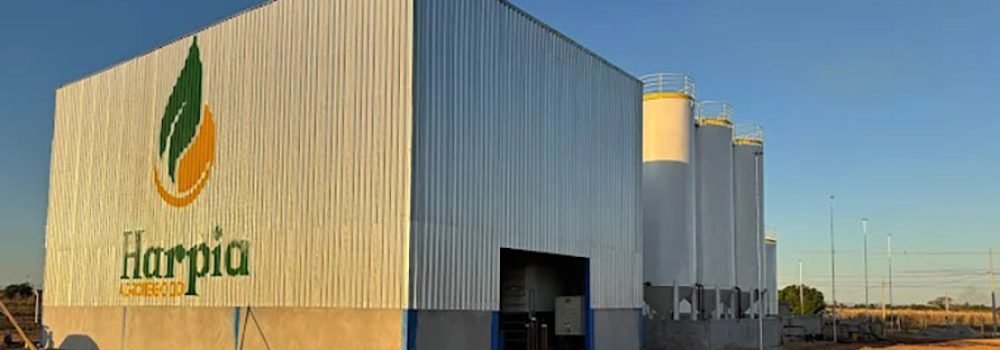 harpia-agronegocio